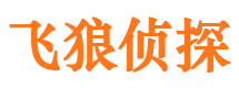 新泰侦探公司